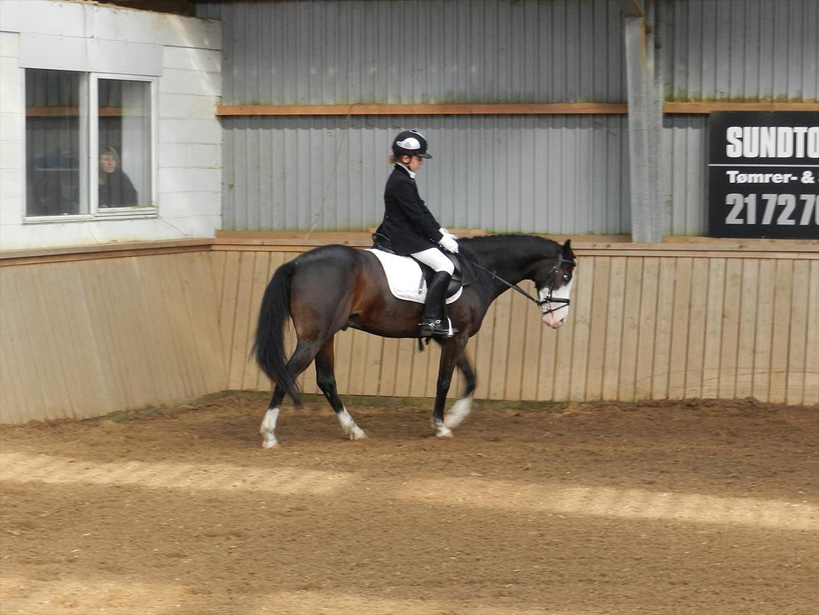 Stævne i Roager Rideklub d. 24/9 2011 billede 53