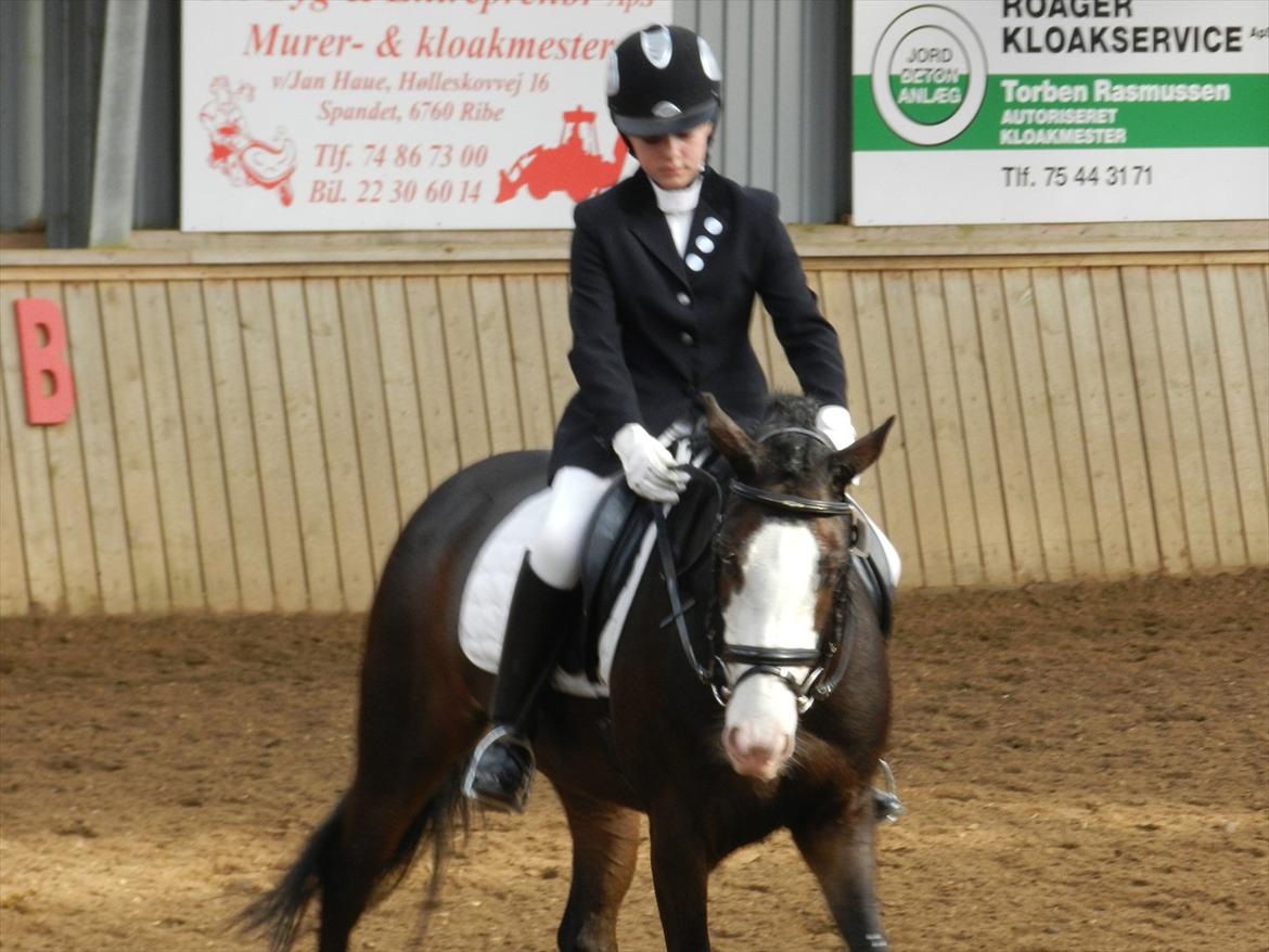 Stævne i Roager Rideklub d. 24/9 2011 billede 5