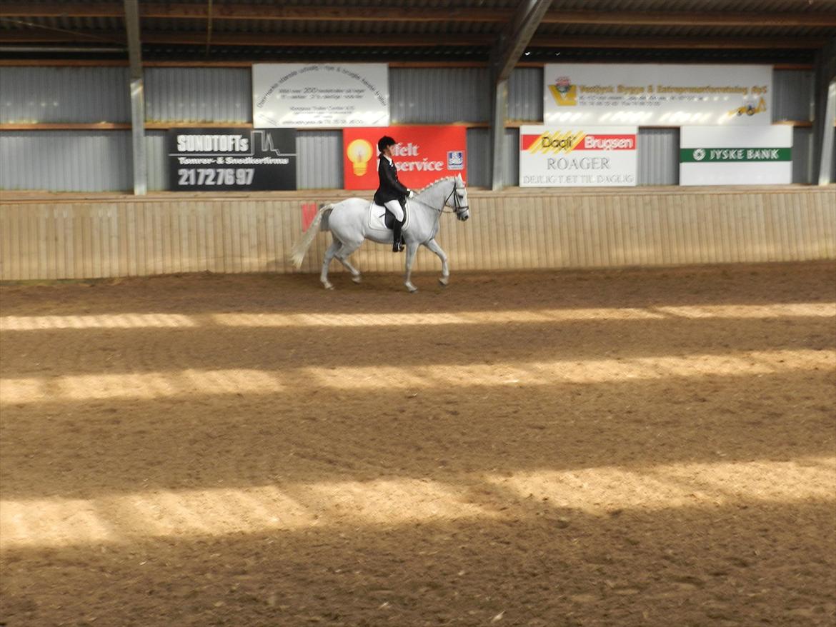 Stævne i Roager Rideklub d. 24/9 2011 billede 54