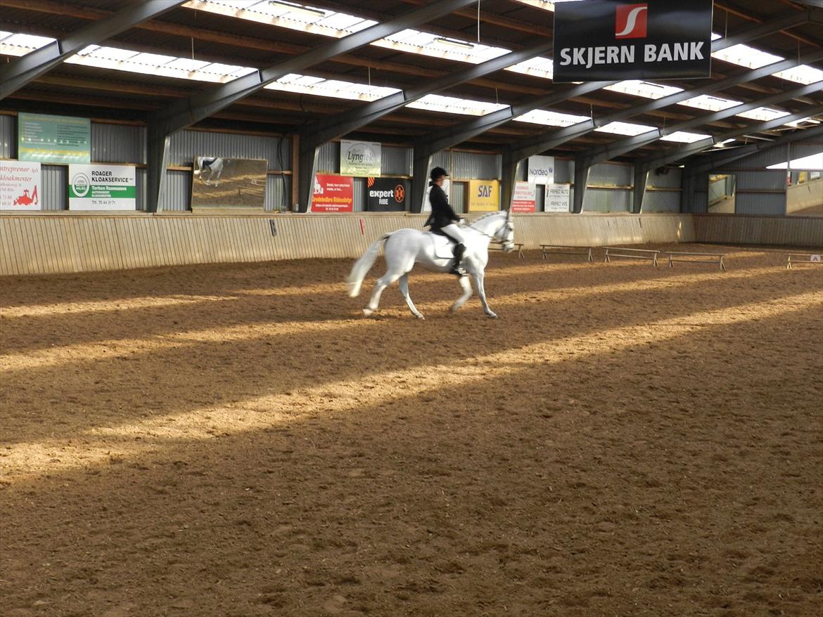 Stævne i Roager Rideklub d. 24/9 2011 billede 55