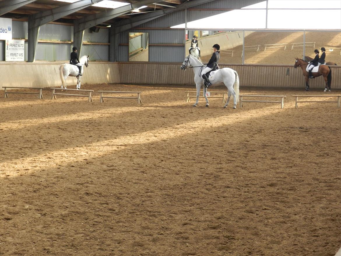 Stævne i Roager Rideklub d. 24/9 2011 billede 56