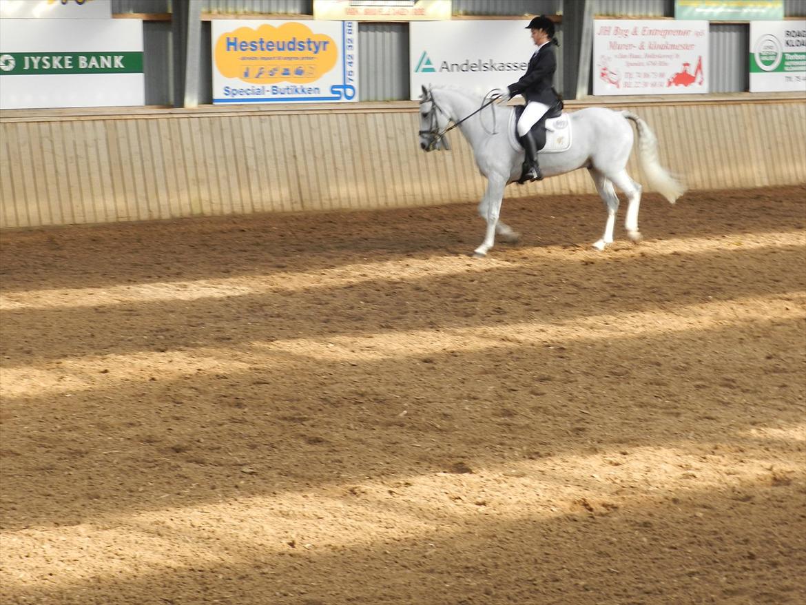 Stævne i Roager Rideklub d. 24/9 2011 billede 57
