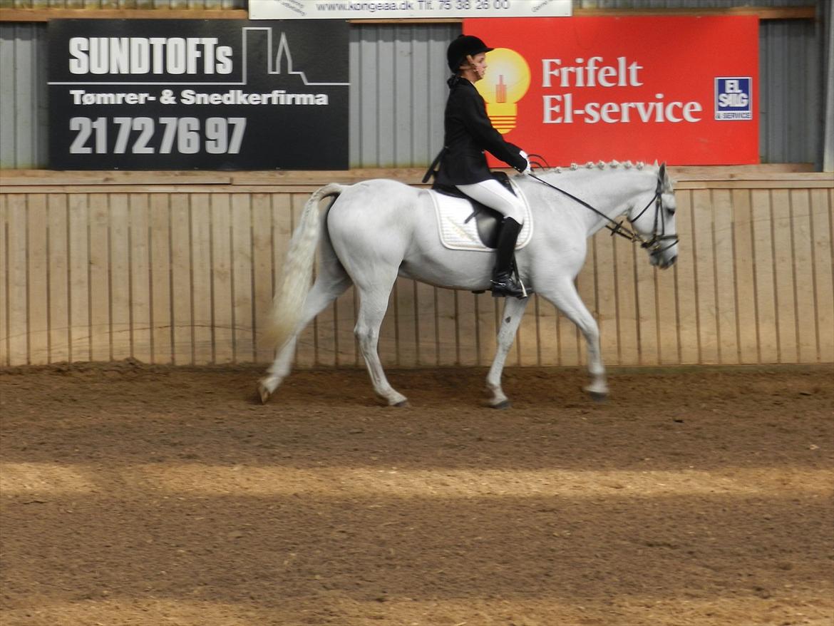 Stævne i Roager Rideklub d. 24/9 2011 billede 59