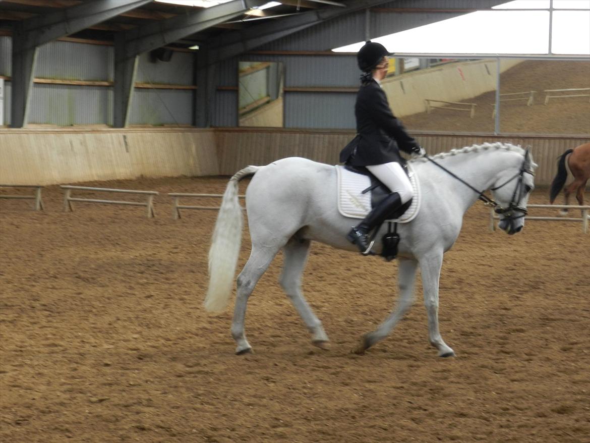 Stævne i Roager Rideklub d. 24/9 2011 billede 61