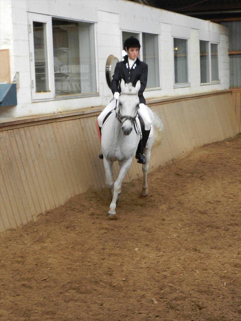 Stævne i Roager Rideklub d. 24/9 2011 billede 62