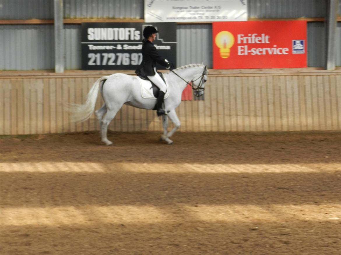 Stævne i Roager Rideklub d. 24/9 2011 billede 63