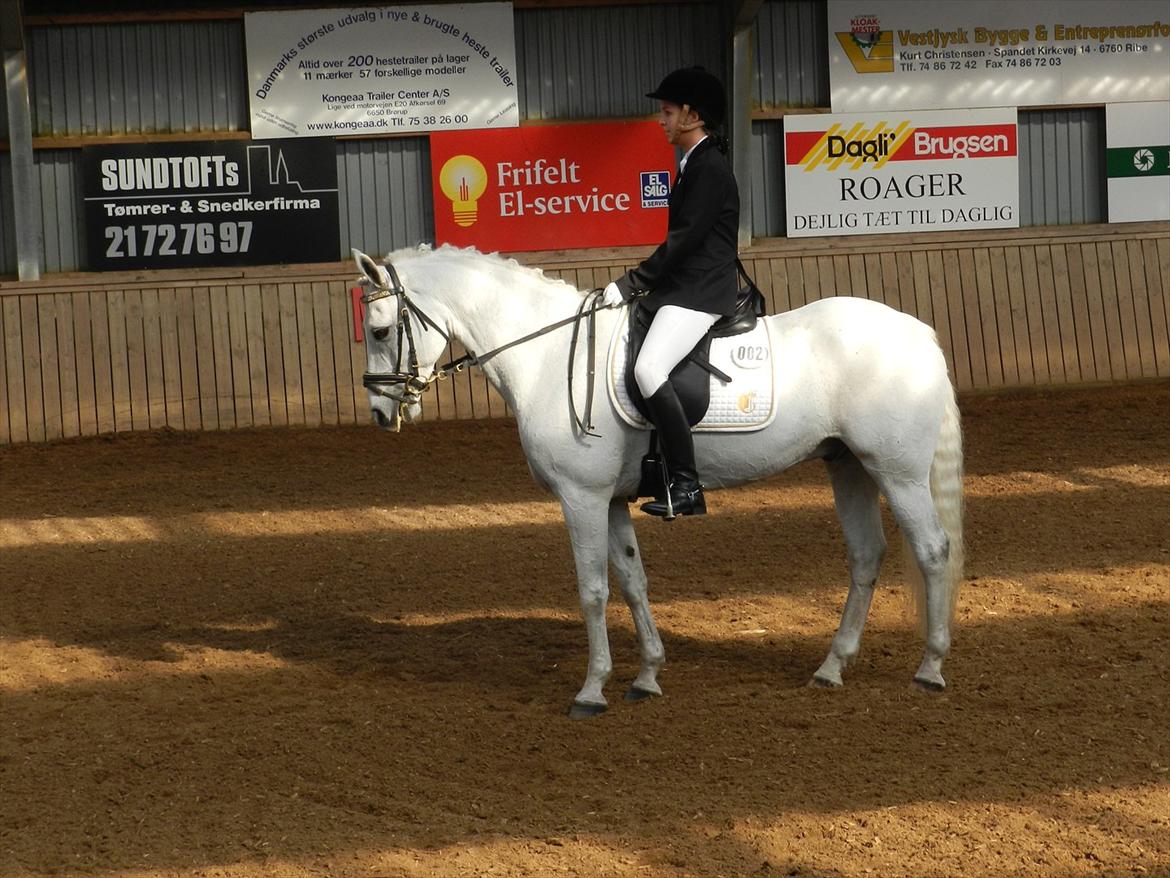 Stævne i Roager Rideklub d. 24/9 2011 billede 64