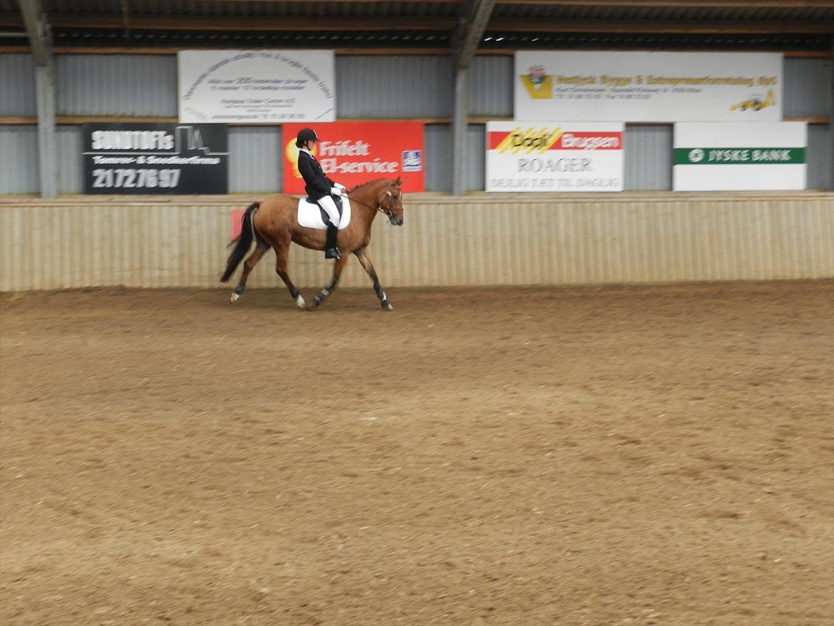 Stævne i Roager Rideklub d. 24/9 2011 billede 66