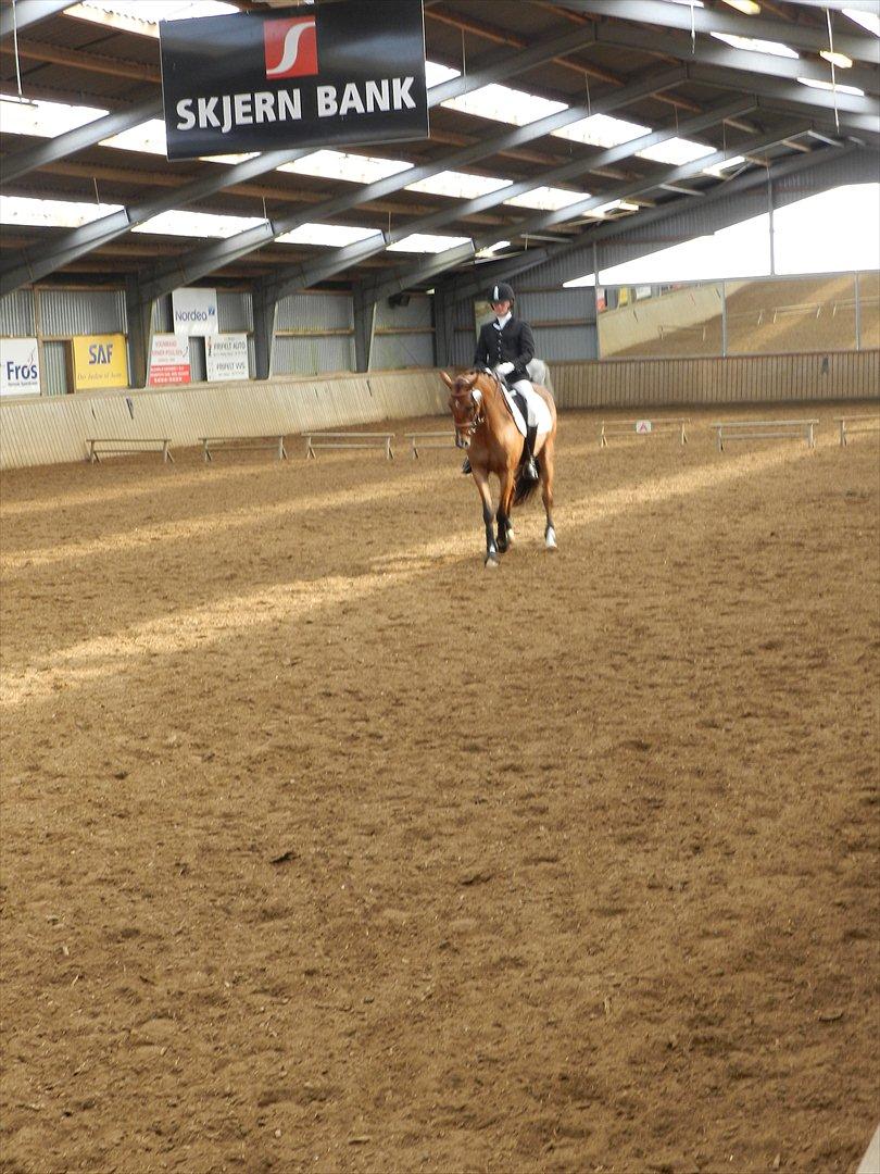 Stævne i Roager Rideklub d. 24/9 2011 billede 67