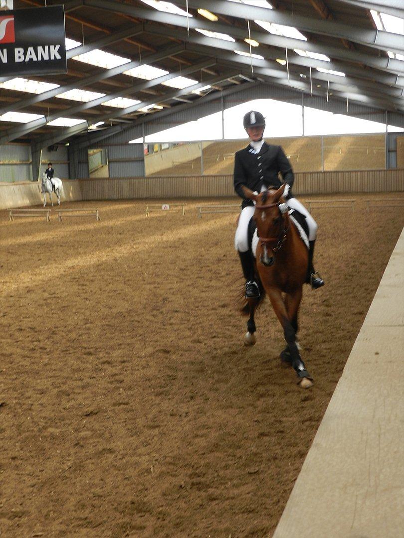 Stævne i Roager Rideklub d. 24/9 2011 billede 68