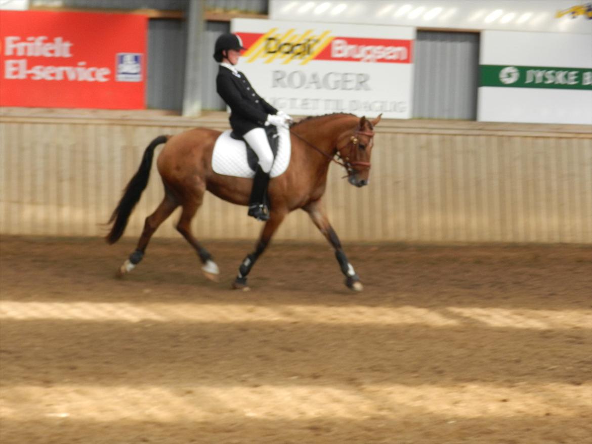 Stævne i Roager Rideklub d. 24/9 2011 billede 69