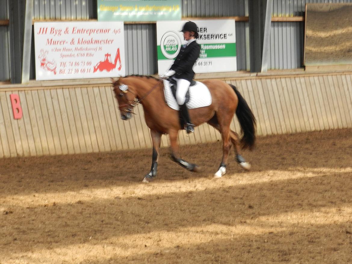 Stævne i Roager Rideklub d. 24/9 2011 billede 70