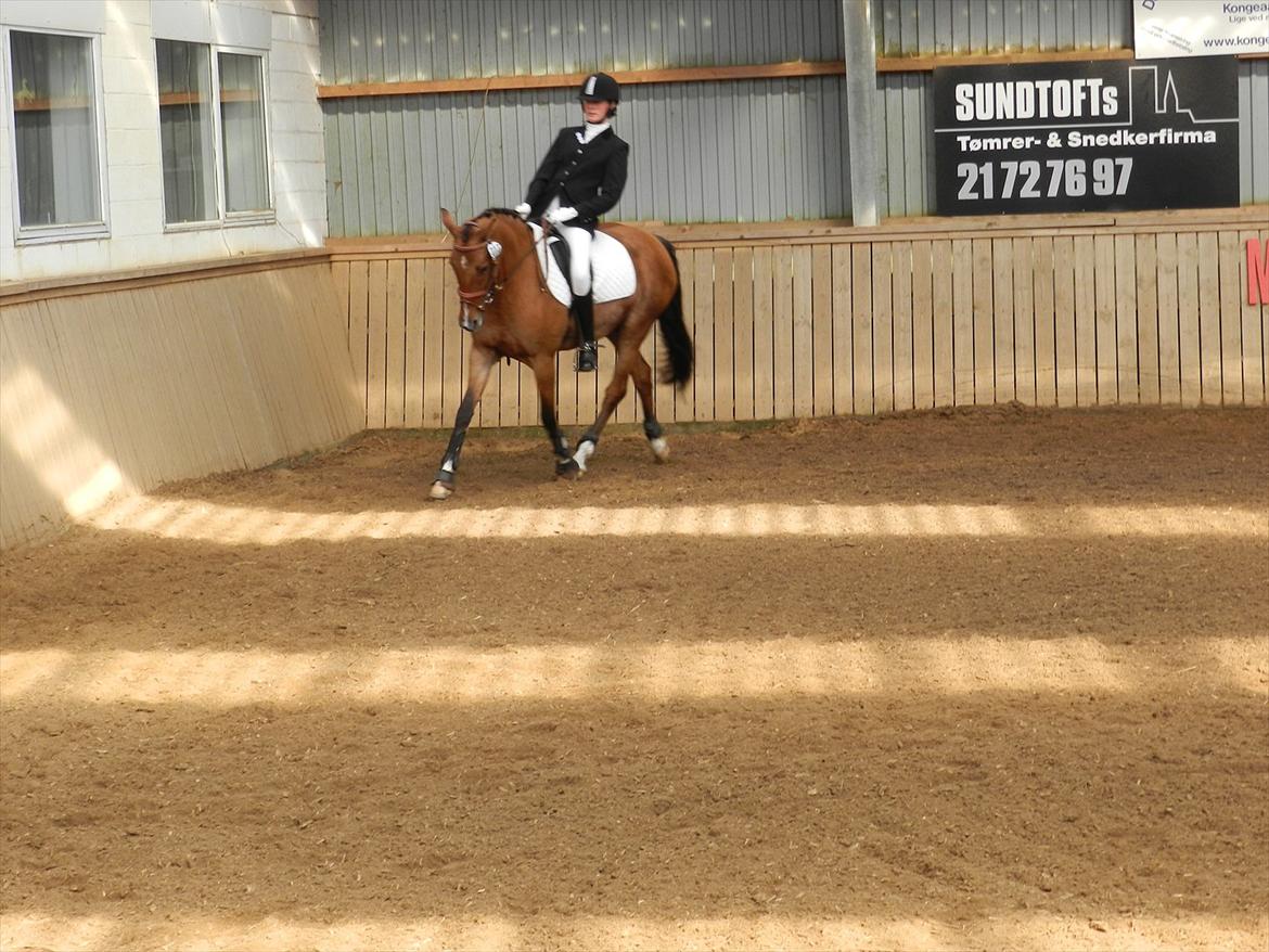 Stævne i Roager Rideklub d. 24/9 2011 billede 71