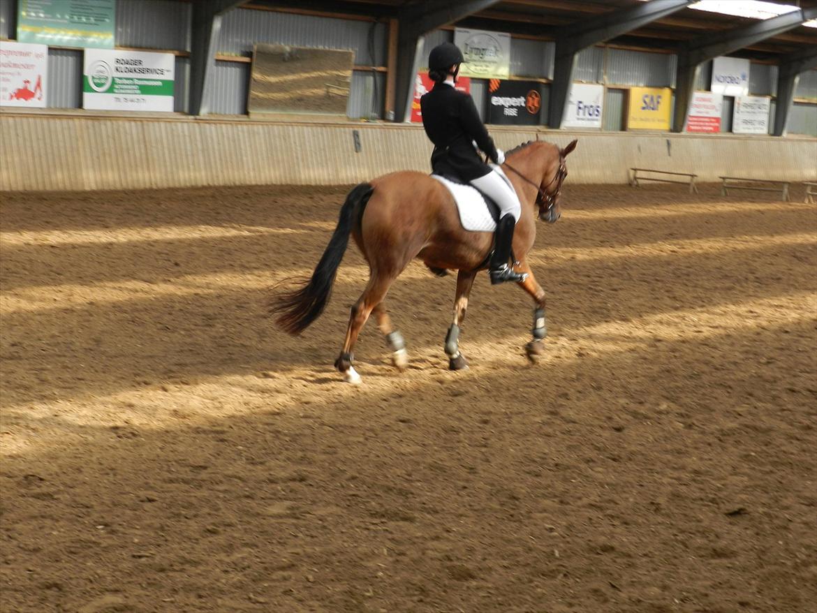 Stævne i Roager Rideklub d. 24/9 2011 billede 72
