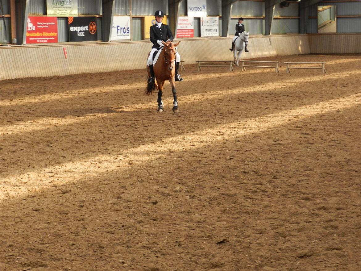 Stævne i Roager Rideklub d. 24/9 2011 billede 73