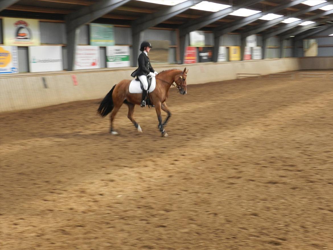 Stævne i Roager Rideklub d. 24/9 2011 billede 74