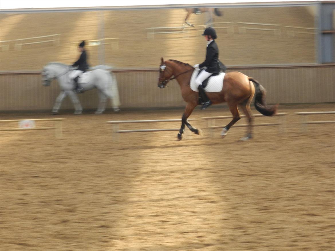 Stævne i Roager Rideklub d. 24/9 2011 billede 75