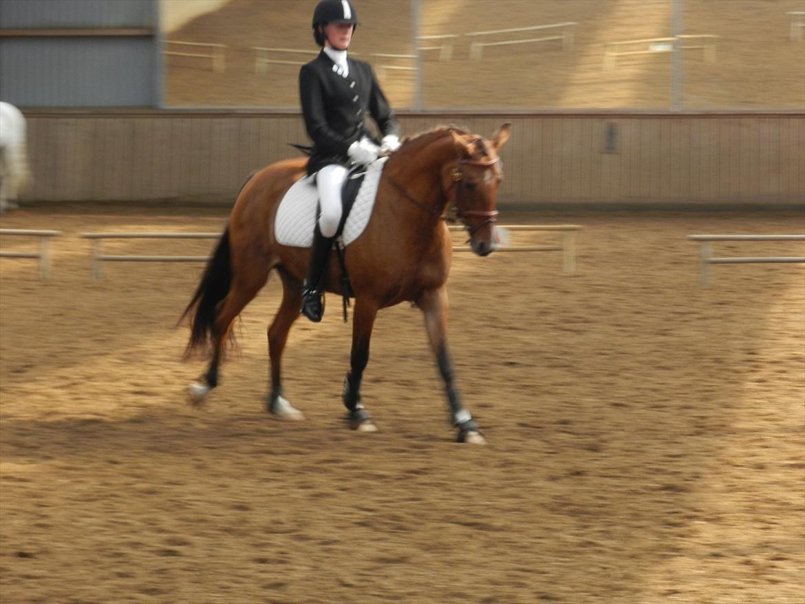 Stævne i Roager Rideklub d. 24/9 2011 billede 76