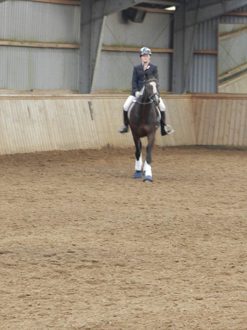 Stævne i Roager Rideklub d. 24/9 2011 billede 78