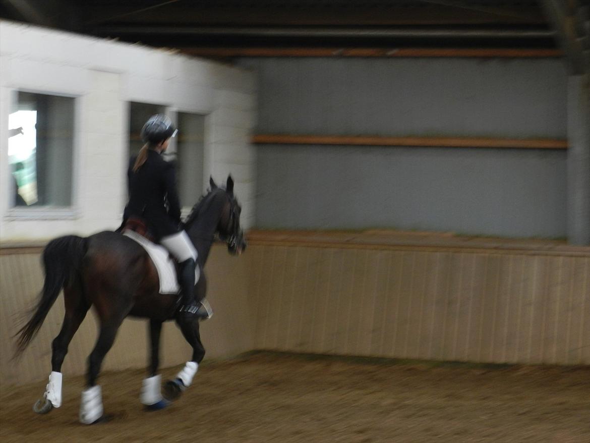 Stævne i Roager Rideklub d. 24/9 2011 billede 79