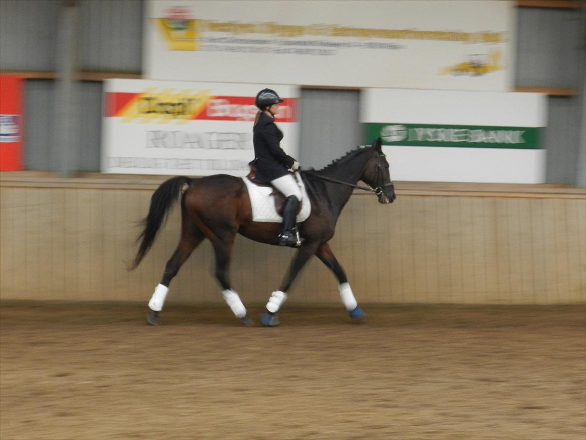 Stævne i Roager Rideklub d. 24/9 2011 billede 80