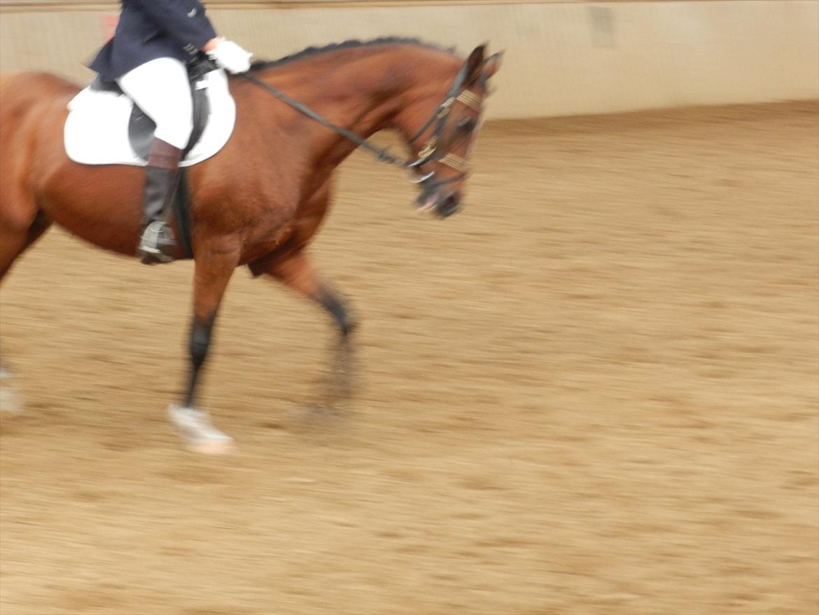 Stævne i Roager Rideklub d. 24/9 2011 billede 81