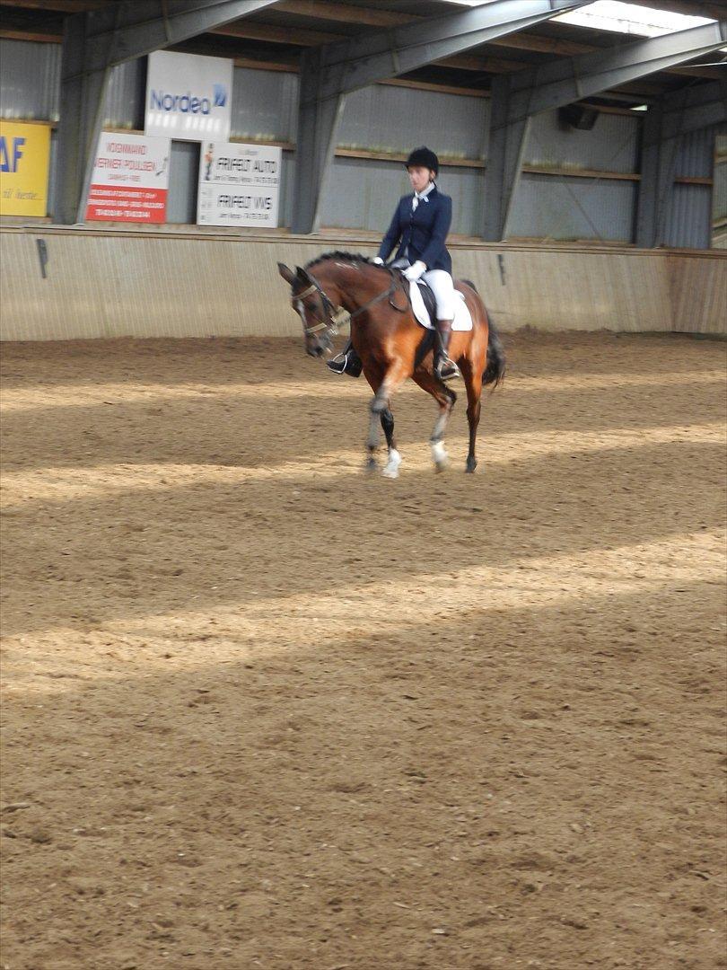 Stævne i Roager Rideklub d. 24/9 2011 billede 82