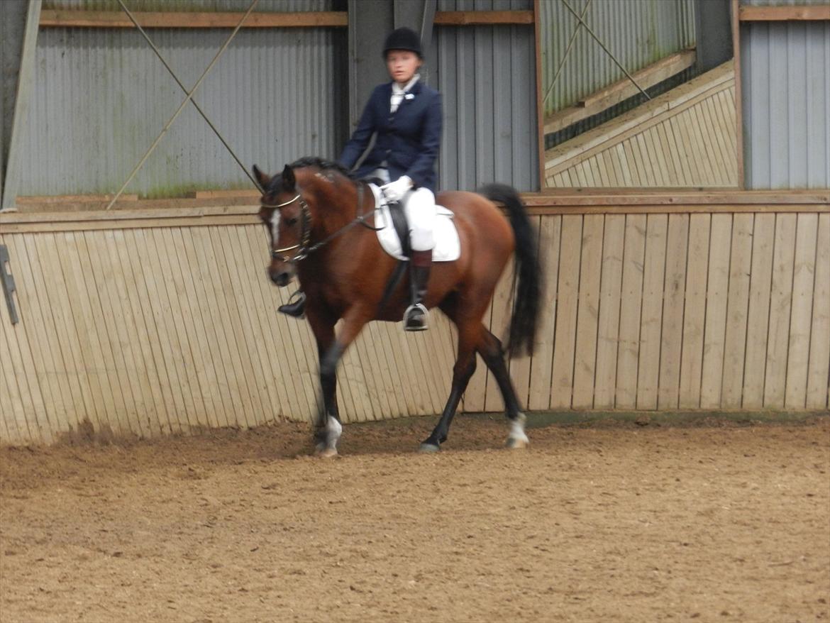 Stævne i Roager Rideklub d. 24/9 2011 billede 83