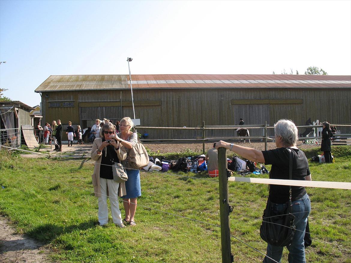 Giraffus på Stevnsbogård billede 17