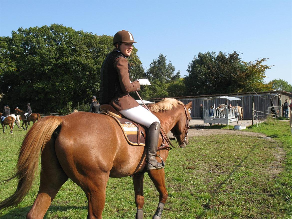 Giraffus på Stevnsbogård billede 29