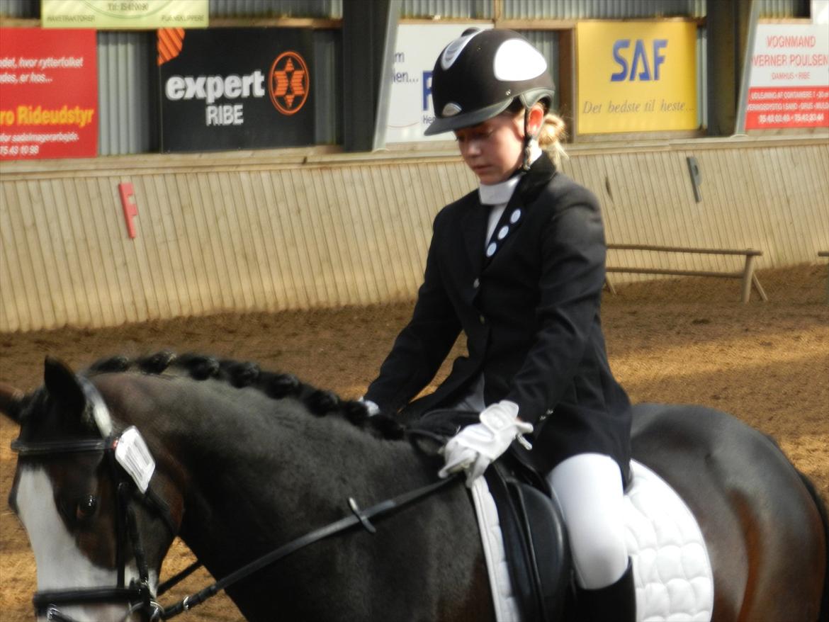 Stævne i Roager Rideklub d. 24/9 2011 billede 4