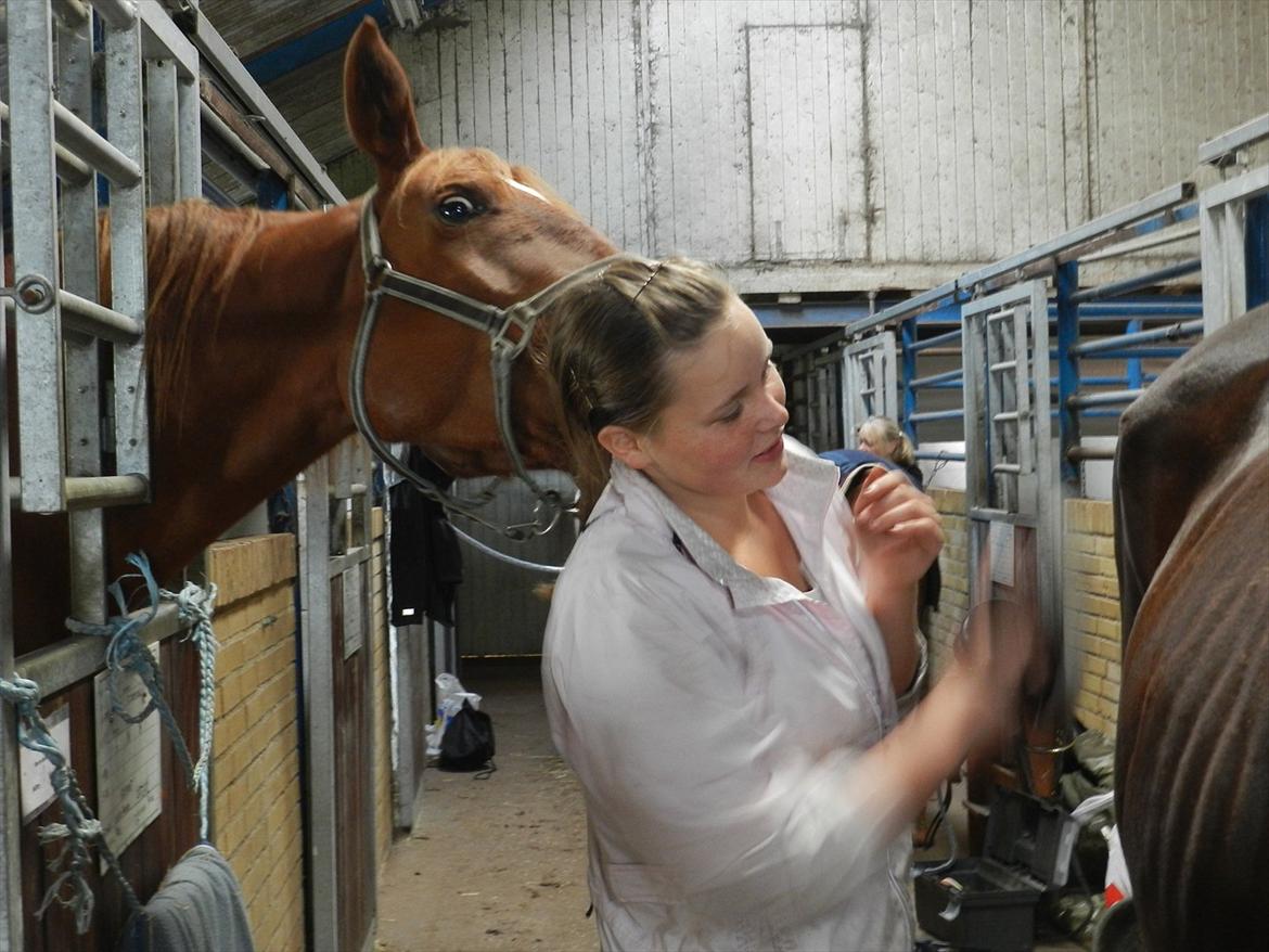 Stævne i Roager Rideklub d. 24/9 2011 billede 92