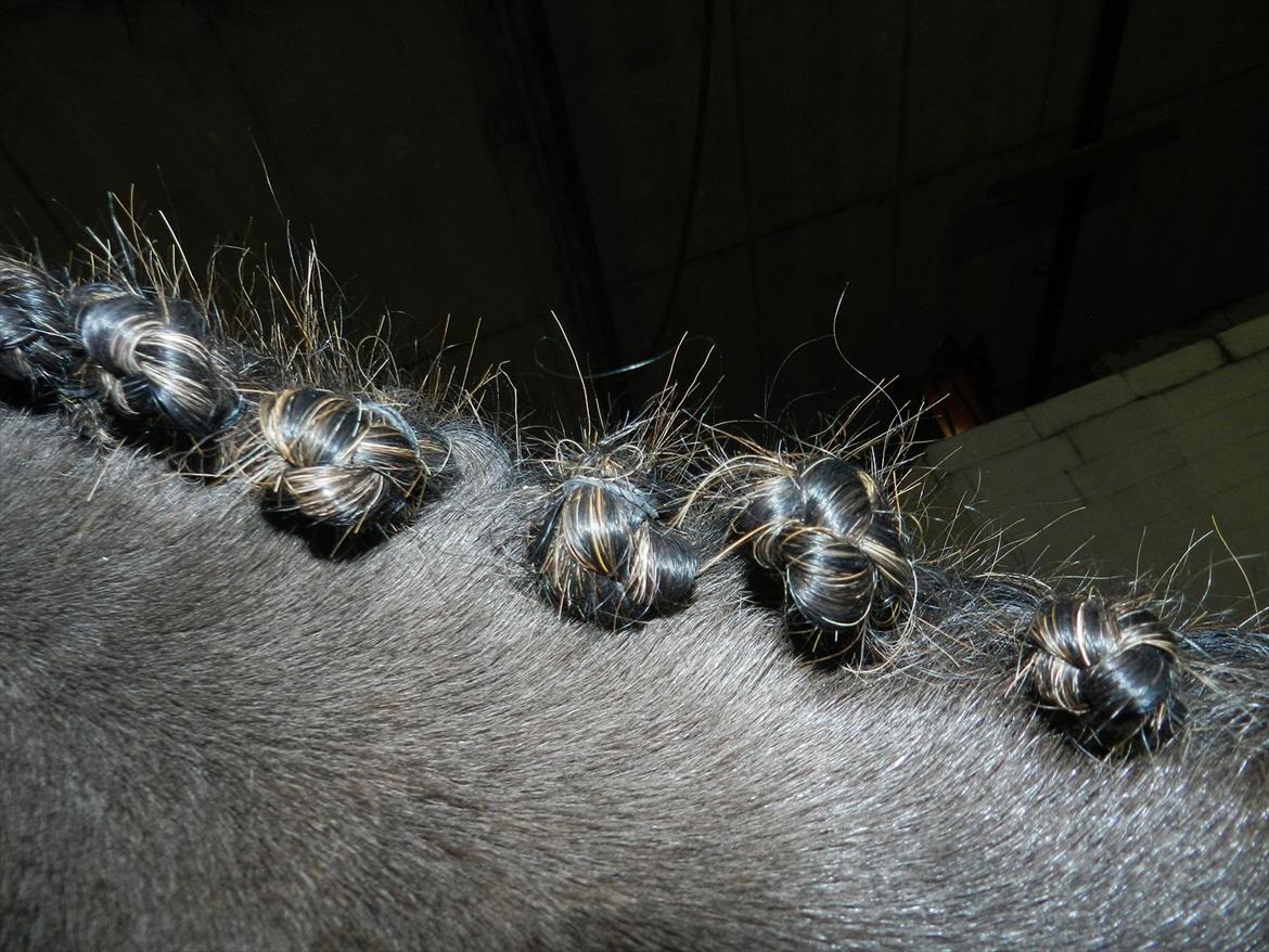 Stævne i Roager Rideklub d. 24/9 2011 billede 93