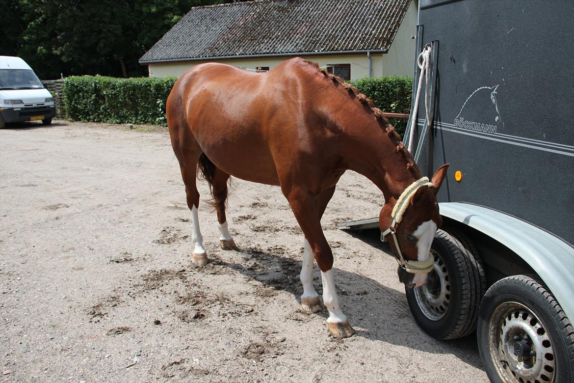 Indrino og jeg i Kongsvad Rideklub Thorsager :) billede 3