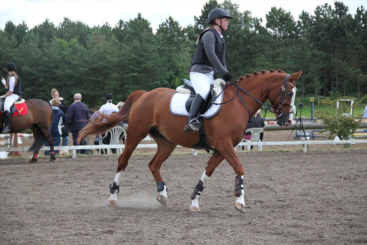 Indrino og jeg i Kongsvad Rideklub Thorsager :) billede 11