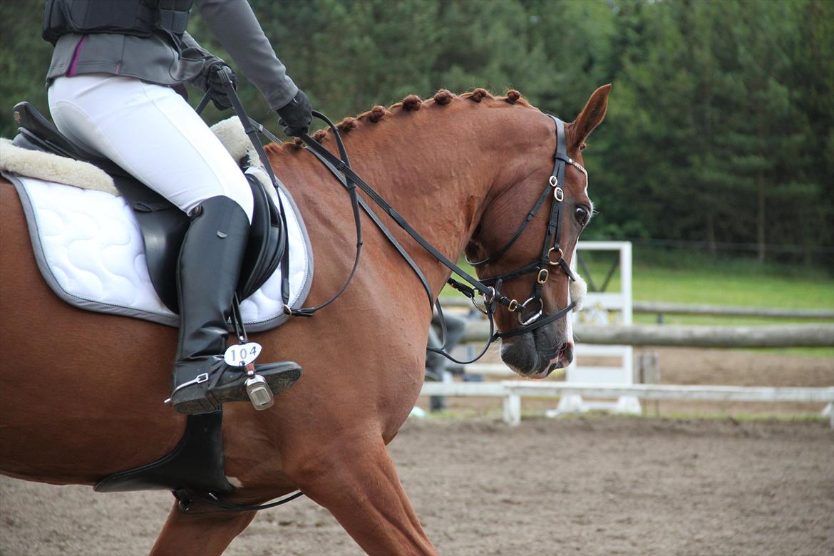 Indrino og jeg i Kongsvad Rideklub Thorsager :) billede 14