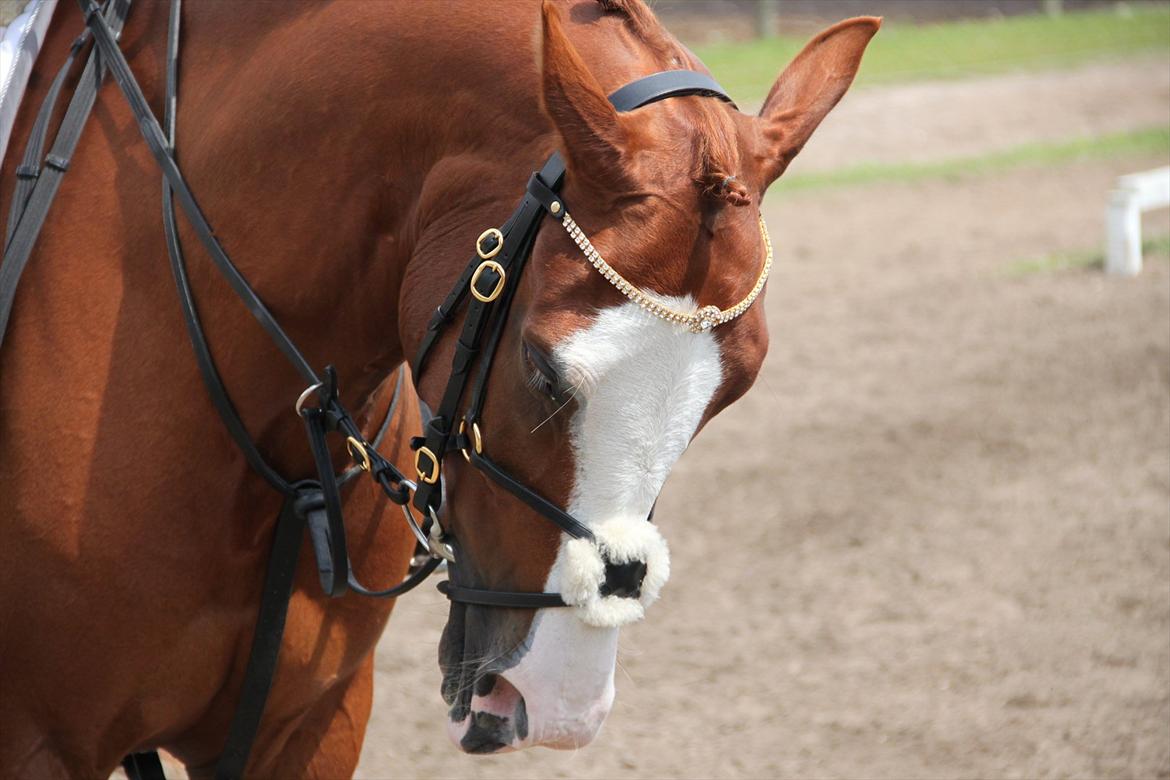 Indrino og jeg i Kongsvad Rideklub Thorsager :) billede 18