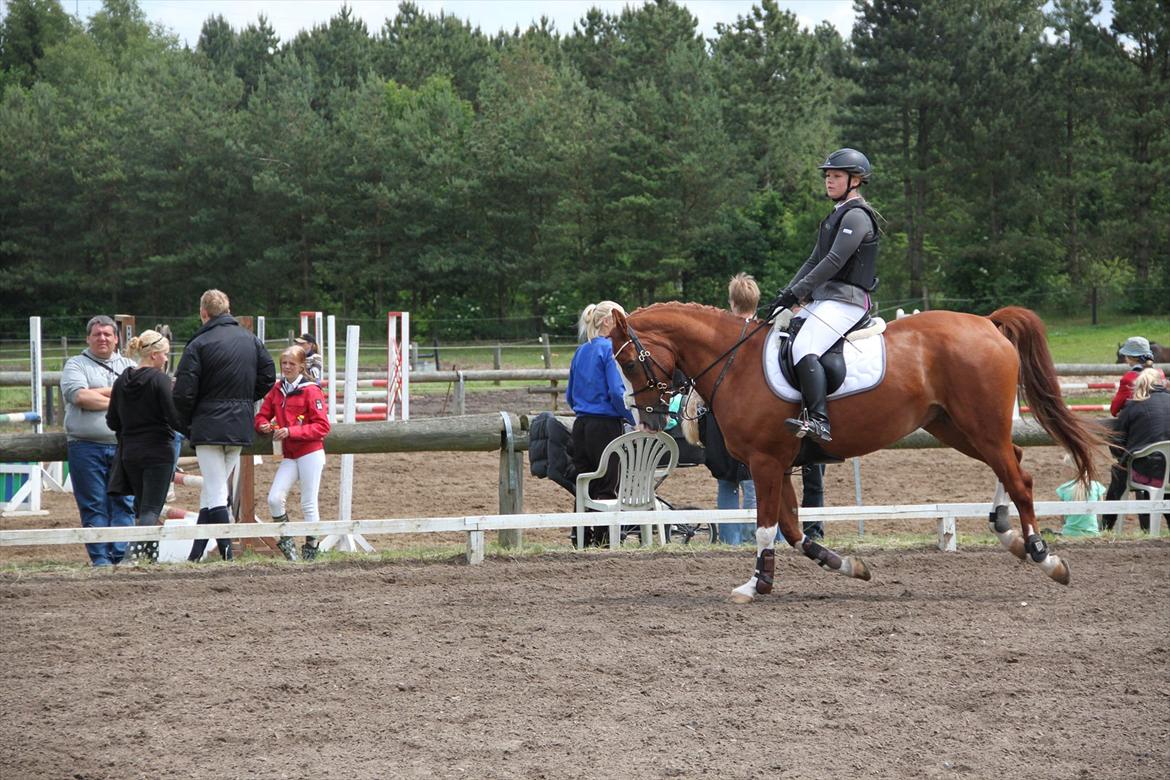 Indrino og jeg i Kongsvad Rideklub Thorsager :) billede 25