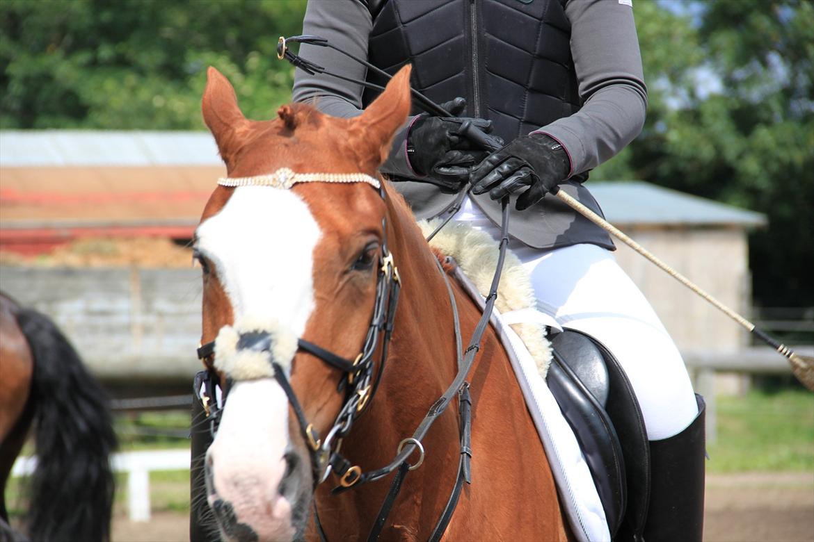 Indrino og jeg i Kongsvad Rideklub Thorsager :) billede 37