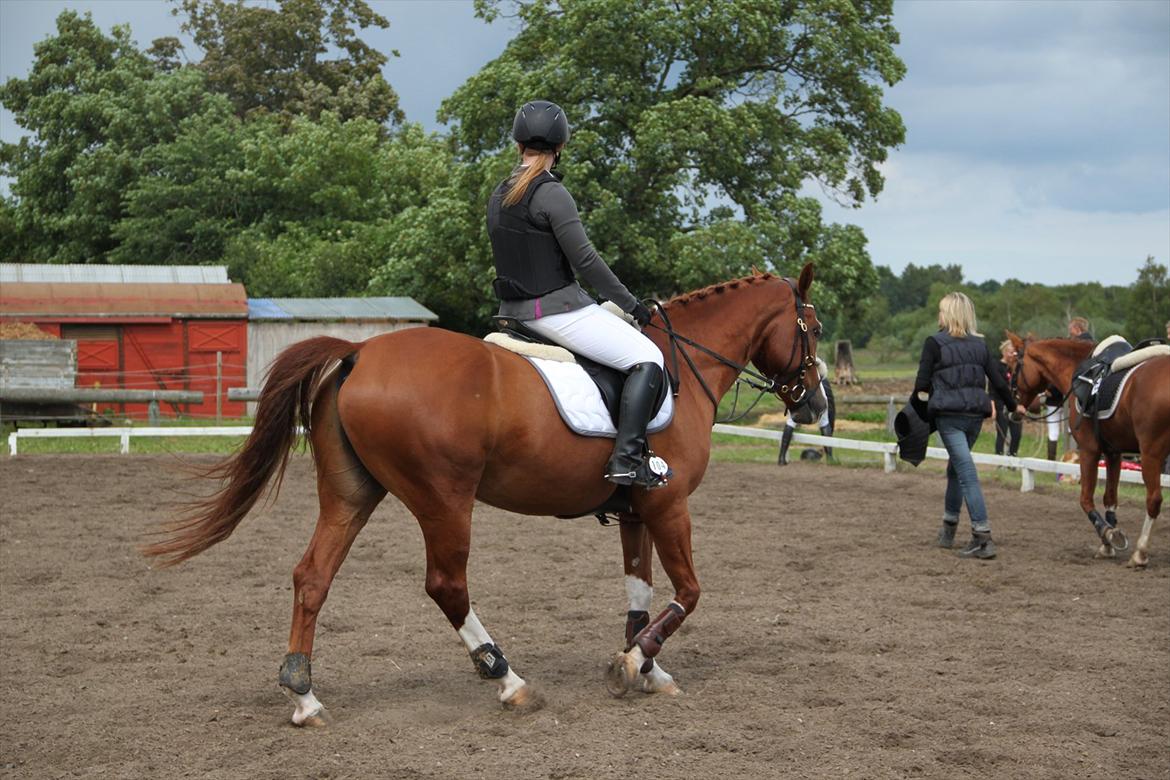 Indrino og jeg i Kongsvad Rideklub Thorsager :) billede 41