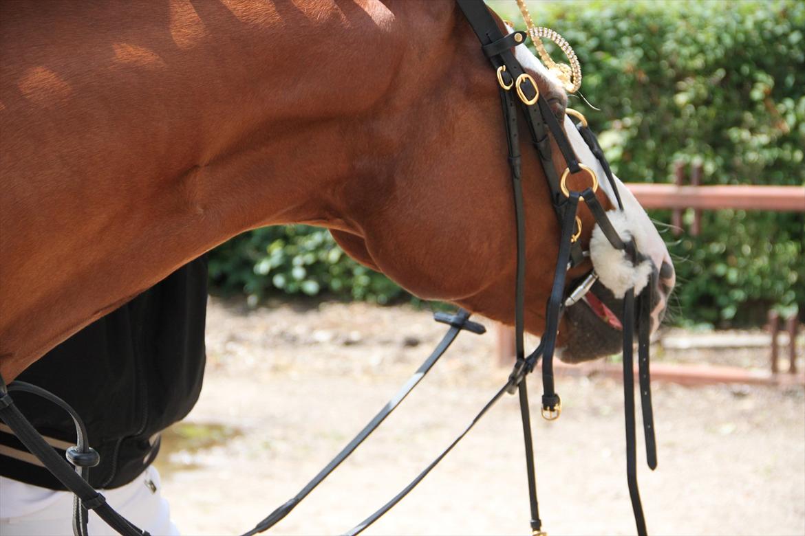 Indrino og jeg i Kongsvad Rideklub Thorsager :) billede 56