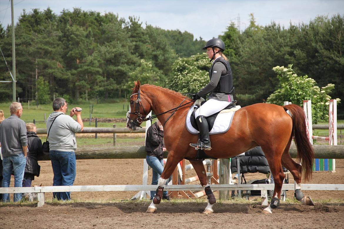 Indrino og jeg i Kongsvad Rideklub Thorsager :) billede 61