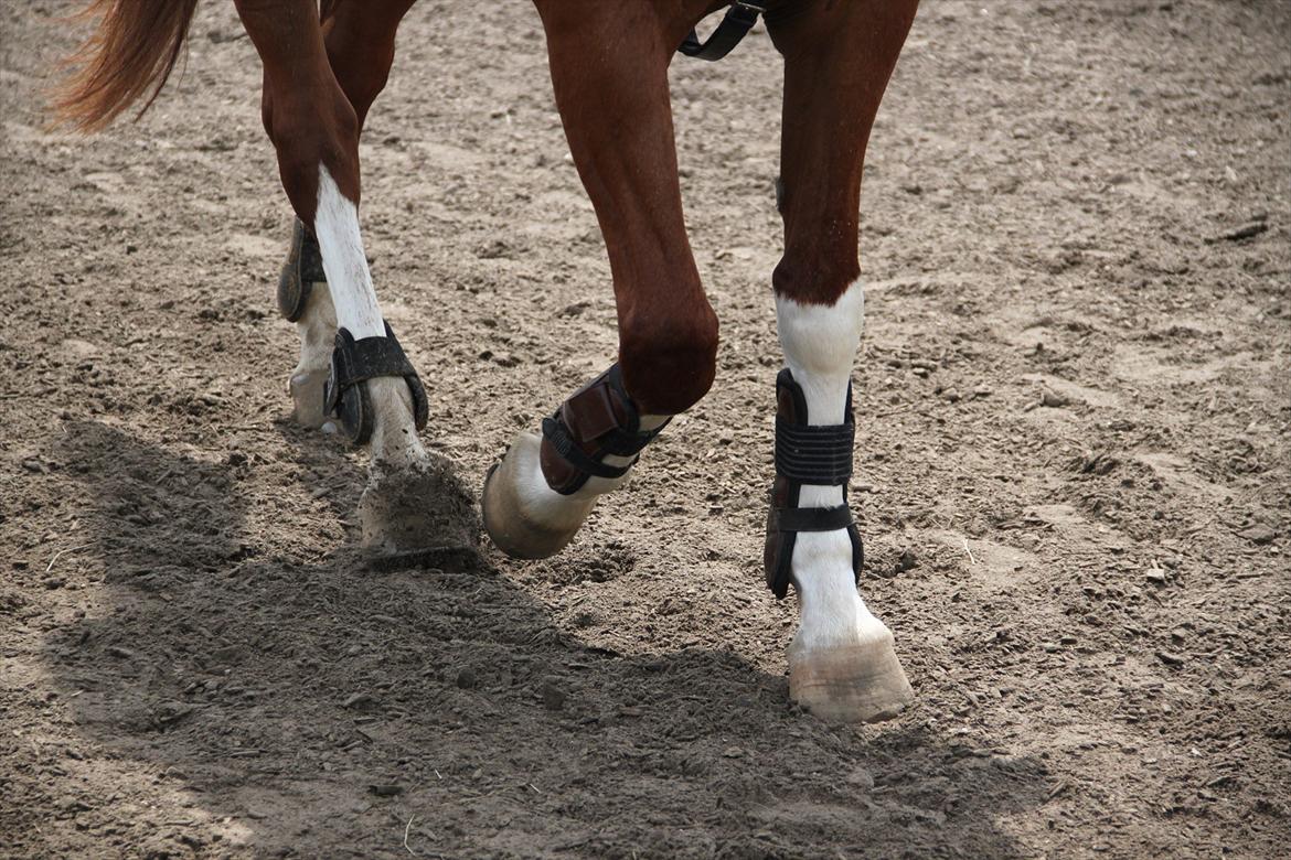 Indrino og jeg i Kongsvad Rideklub Thorsager :) billede 62