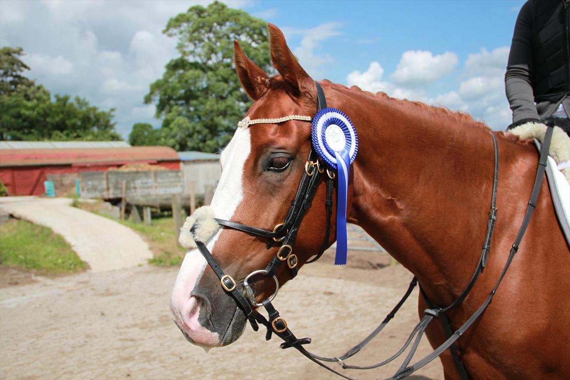 Indrino og jeg i Kongsvad Rideklub Thorsager :) billede 65