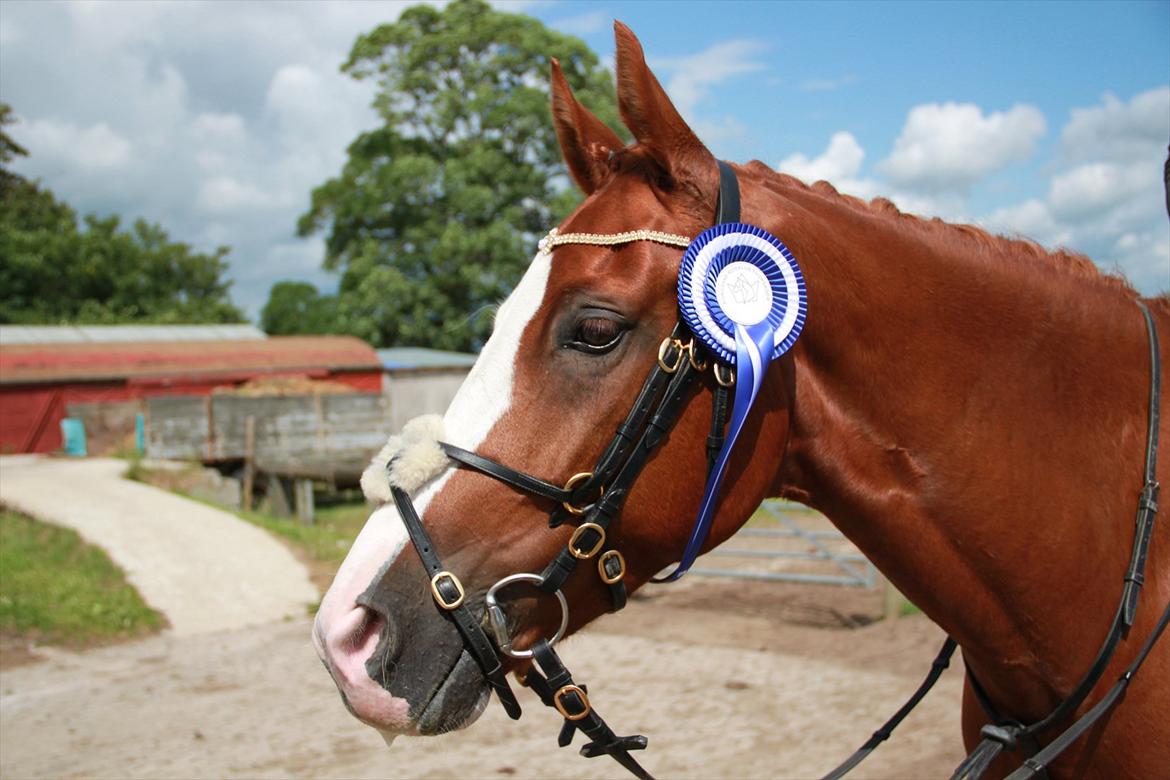 Indrino og jeg i Kongsvad Rideklub Thorsager :) billede 67