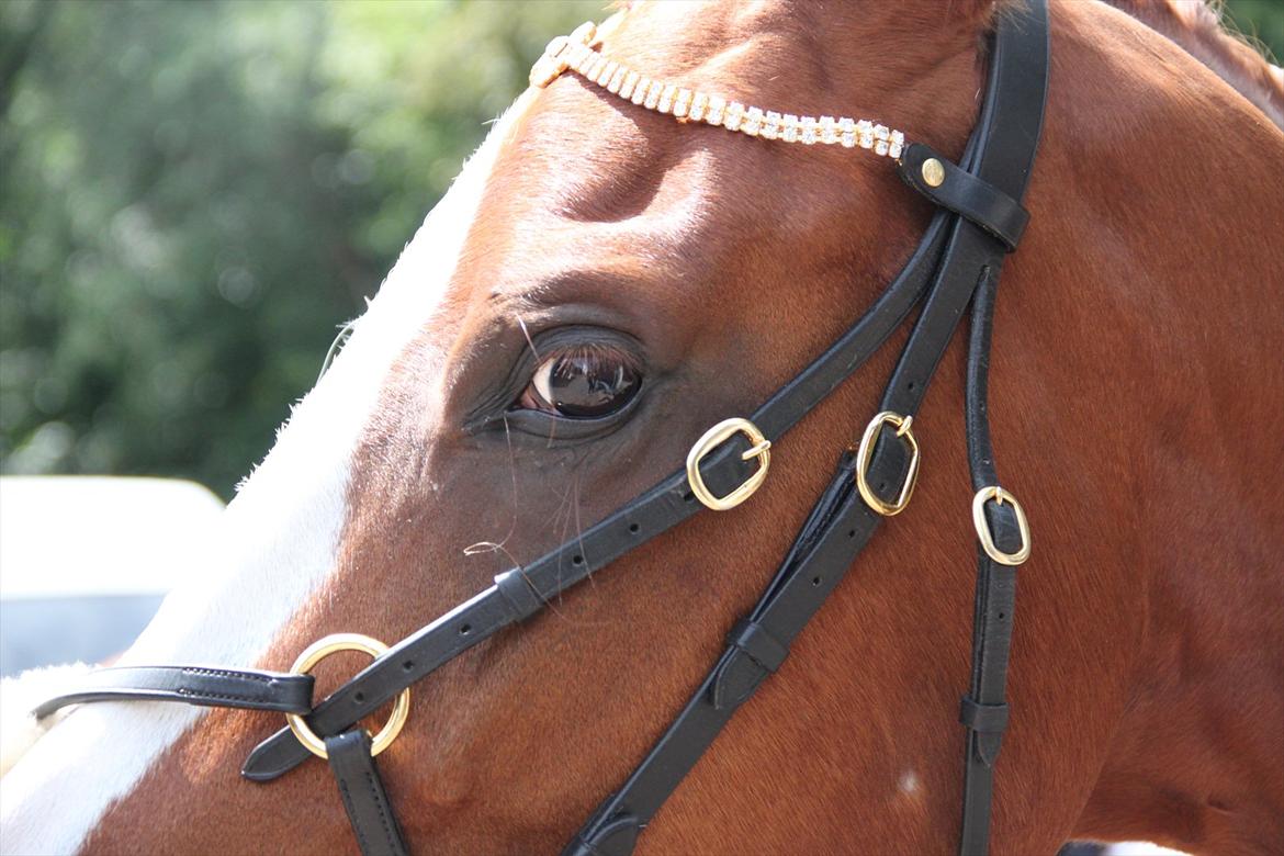 Indrino og jeg i Kongsvad Rideklub Thorsager :) billede 78