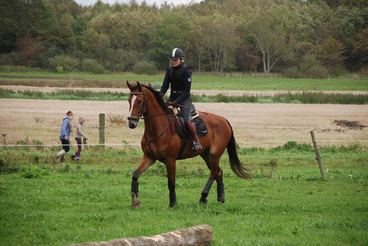 Lemilio til militarykursus med Eric Smiley - Spændte, søde Lemilio kan slet ikke overskue alt det der foregår :) billede 1