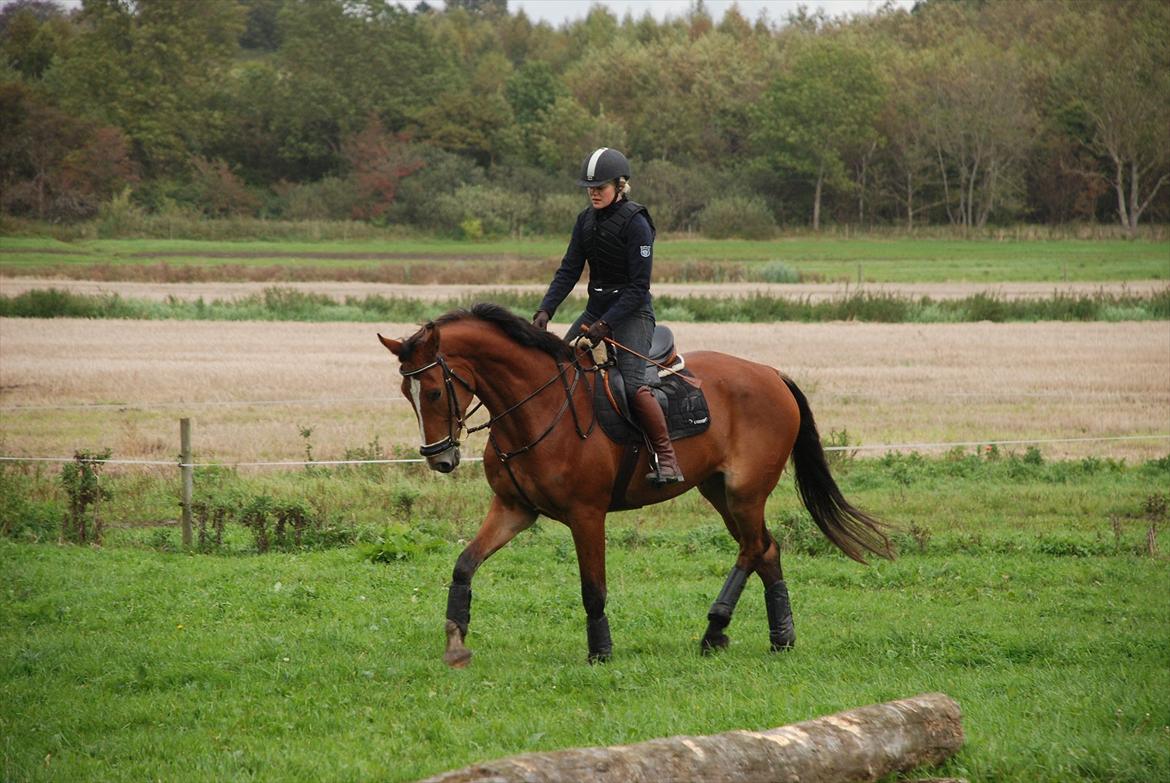 Lemilio til militarykursus med Eric Smiley - Meget mere fokuseret. billede 3