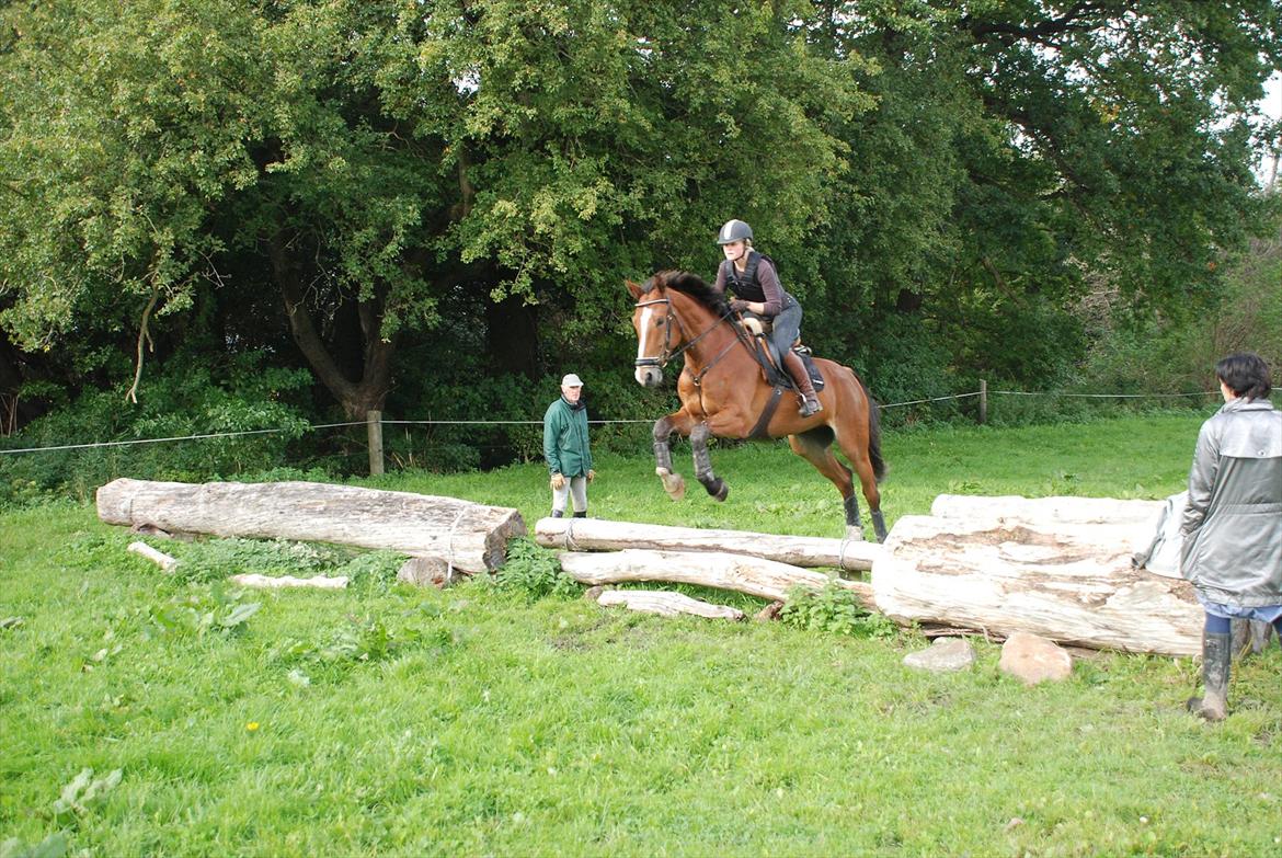 Lemilio til militarykursus med Eric Smiley - Ny træstamme, ingen problemer og heller ikke specielt meget respekt:) billede 6
