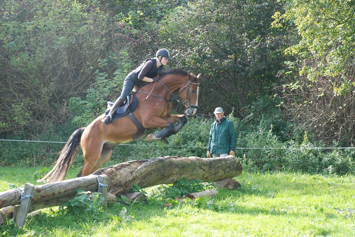 Lemilio til militarykursus med Eric Smiley - Her kompenserer han lidt for alle de gange hvor han ikke går så meget op i sine forben. Han sprang til - så meget at mit ben røg ud bag lægstøtten! billede 8